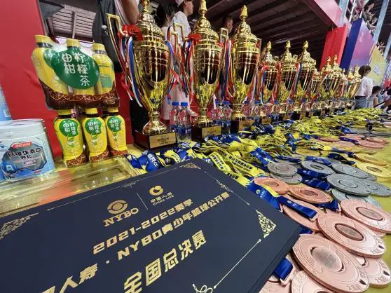 篮球训练感想心得300字内容怎么写_2